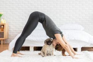 Doga ou Dog Yoga : le yoga avec votre chien